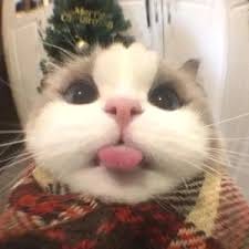 Lê Văn Đức avatar